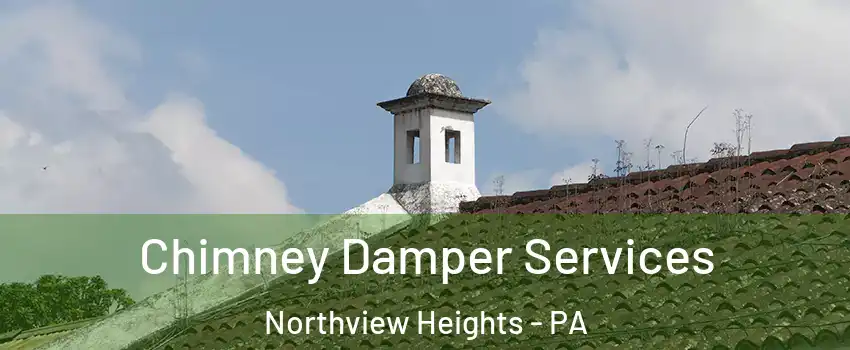 Chimney Damper Services Northview Heights - PA