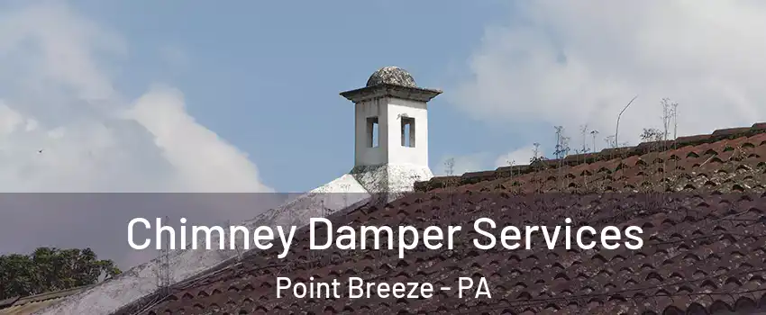 Chimney Damper Services Point Breeze - PA
