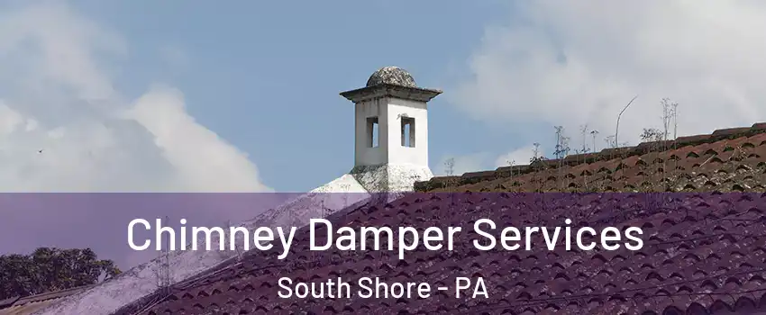 Chimney Damper Services South Shore - PA