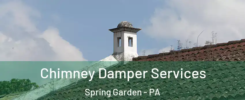 Chimney Damper Services Spring Garden - PA