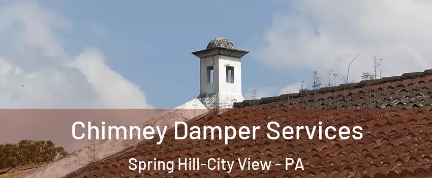 Chimney Damper Services Spring Hill-City View - PA