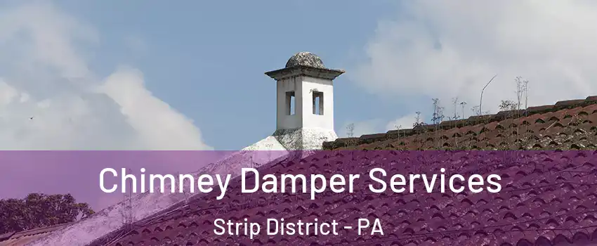 Chimney Damper Services Strip District - PA
