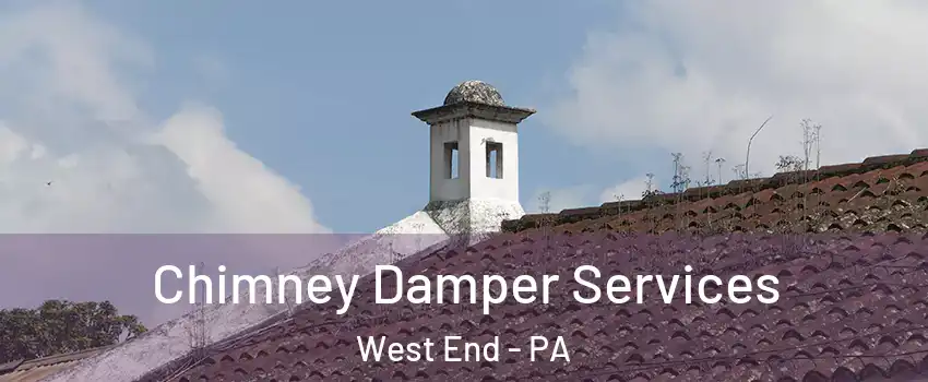 Chimney Damper Services West End - PA