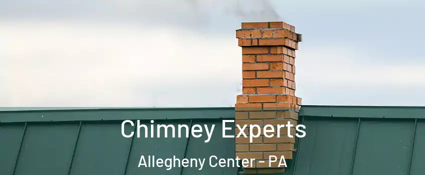 Chimney Experts Allegheny Center - PA