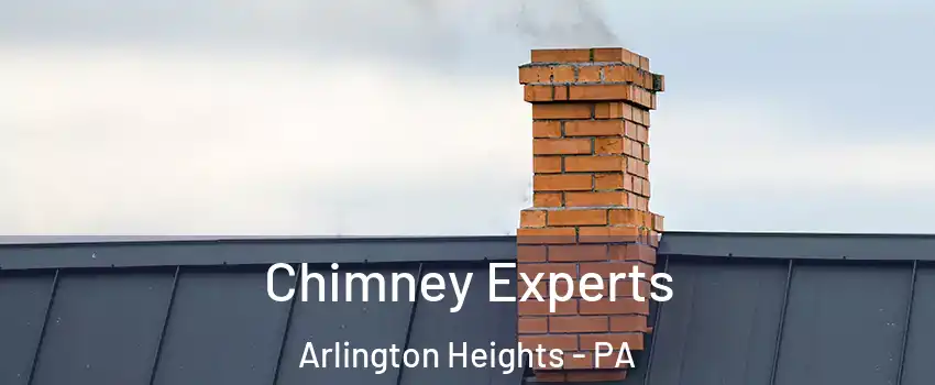 Chimney Experts Arlington Heights - PA