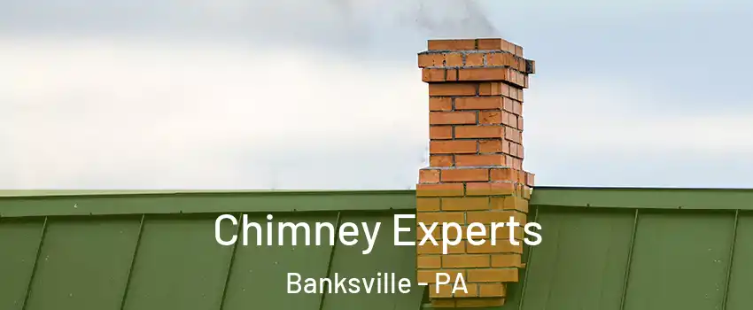 Chimney Experts Banksville - PA