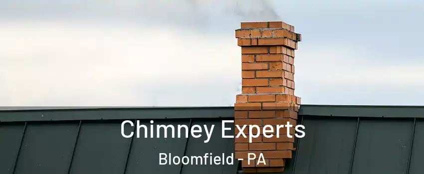 Chimney Experts Bloomfield - PA
