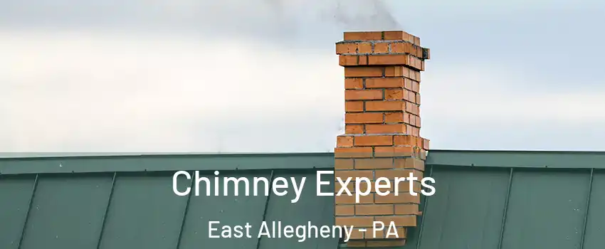 Chimney Experts East Allegheny - PA