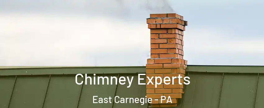 Chimney Experts East Carnegie - PA