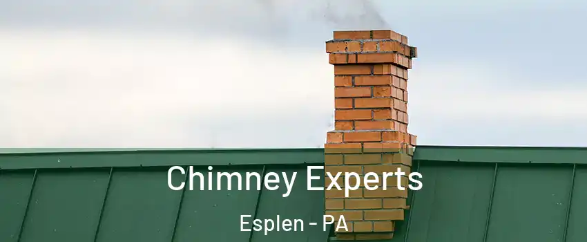 Chimney Experts Esplen - PA