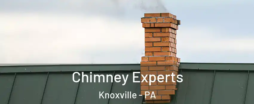 Chimney Experts Knoxville - PA