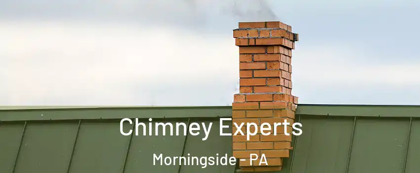 Chimney Experts Morningside - PA
