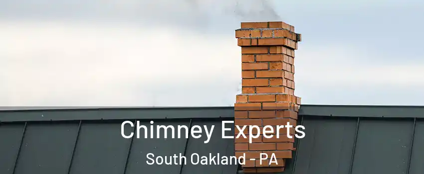 Chimney Experts South Oakland - PA