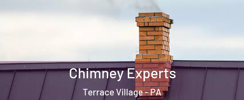 Chimney Experts Terrace Village - PA