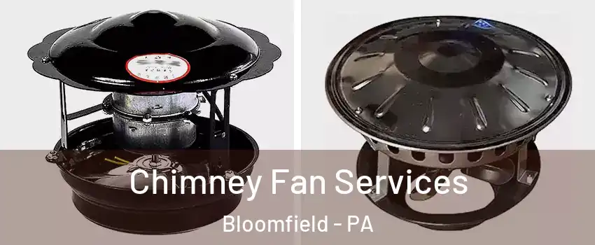 Chimney Fan Services Bloomfield - PA