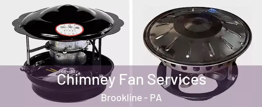 Chimney Fan Services Brookline - PA