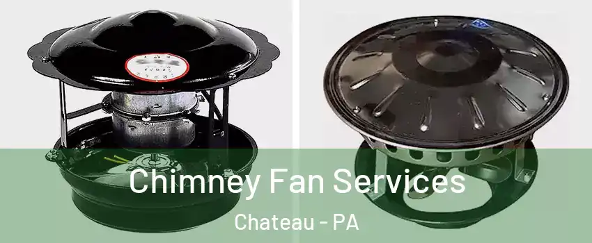 Chimney Fan Services Chateau - PA