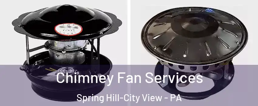 Chimney Fan Services Spring Hill-City View - PA