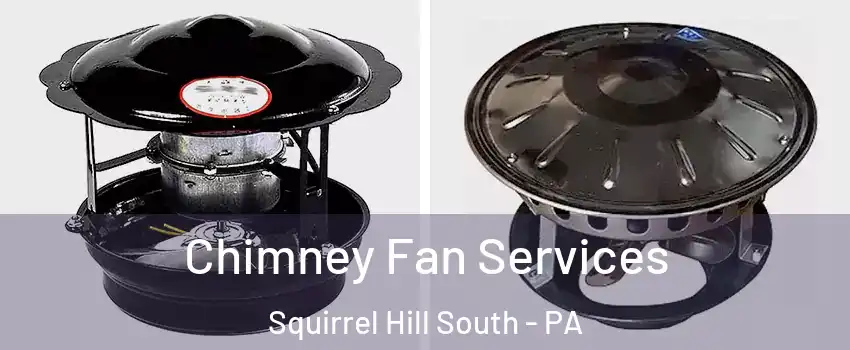 Chimney Fan Services Squirrel Hill South - PA