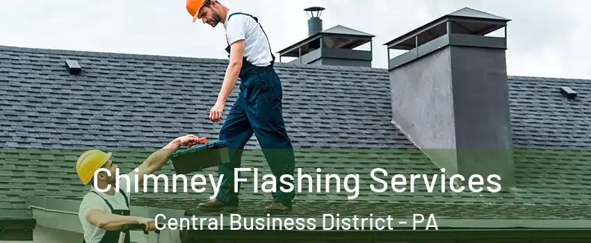 Chimney Flashing Services Central Business District - PA