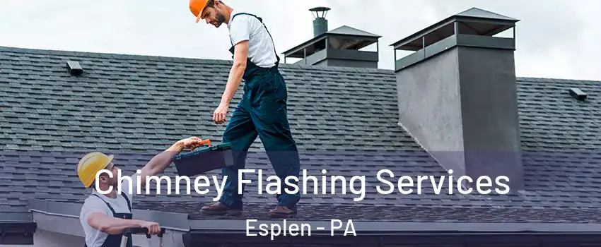 Chimney Flashing Services Esplen - PA