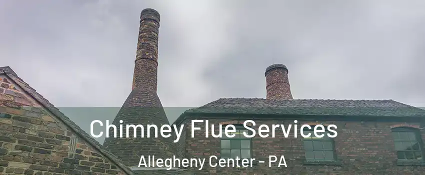 Chimney Flue Services Allegheny Center - PA