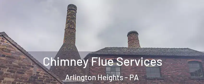 Chimney Flue Services Arlington Heights - PA