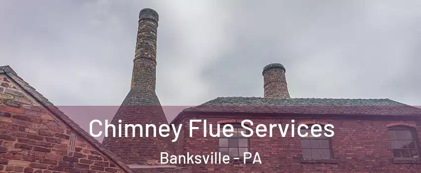 Chimney Flue Services Banksville - PA