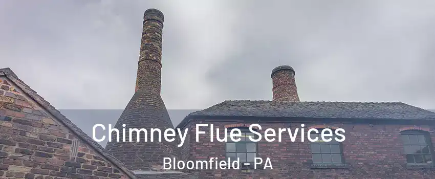 Chimney Flue Services Bloomfield - PA