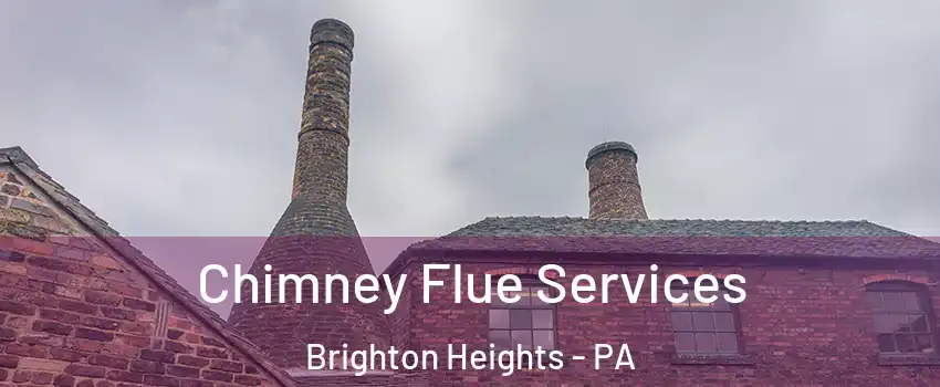 Chimney Flue Services Brighton Heights - PA
