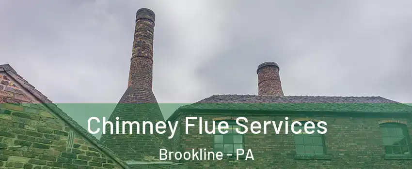 Chimney Flue Services Brookline - PA