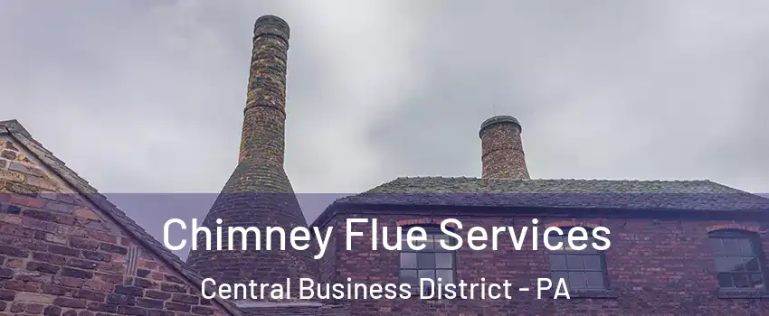 Chimney Flue Services Central Business District - PA