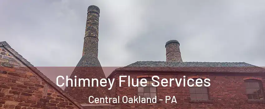 Chimney Flue Services Central Oakland - PA