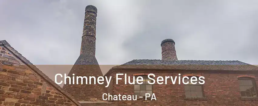 Chimney Flue Services Chateau - PA