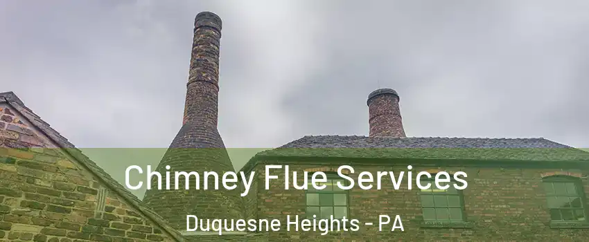 Chimney Flue Services Duquesne Heights - PA