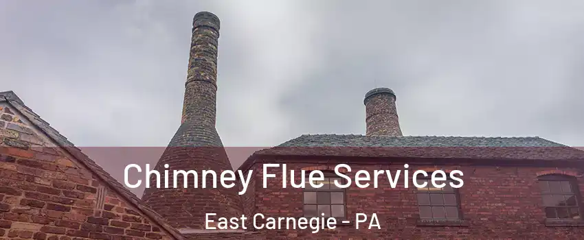 Chimney Flue Services East Carnegie - PA
