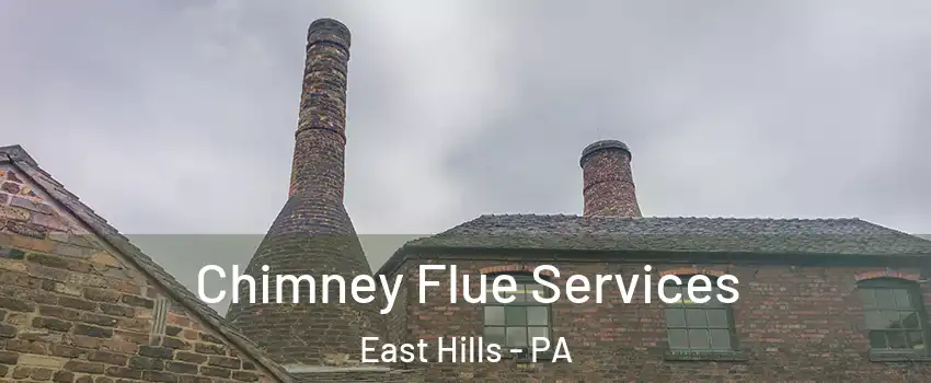 Chimney Flue Services East Hills - PA