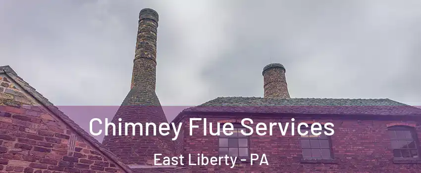 Chimney Flue Services East Liberty - PA