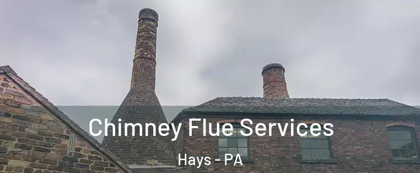 Chimney Flue Services Hays - PA