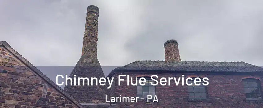 Chimney Flue Services Larimer - PA