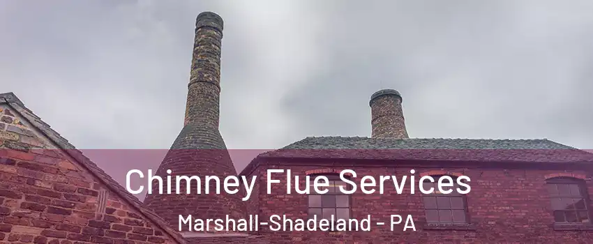 Chimney Flue Services Marshall-Shadeland - PA