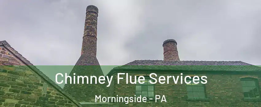 Chimney Flue Services Morningside - PA