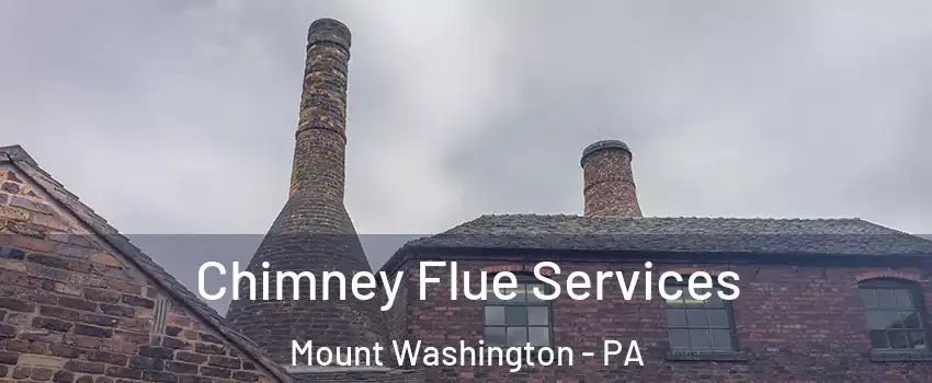 Chimney Flue Services Mount Washington - PA