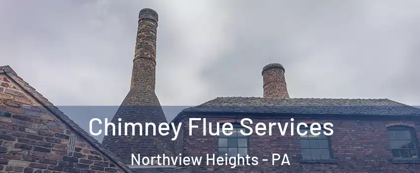 Chimney Flue Services Northview Heights - PA