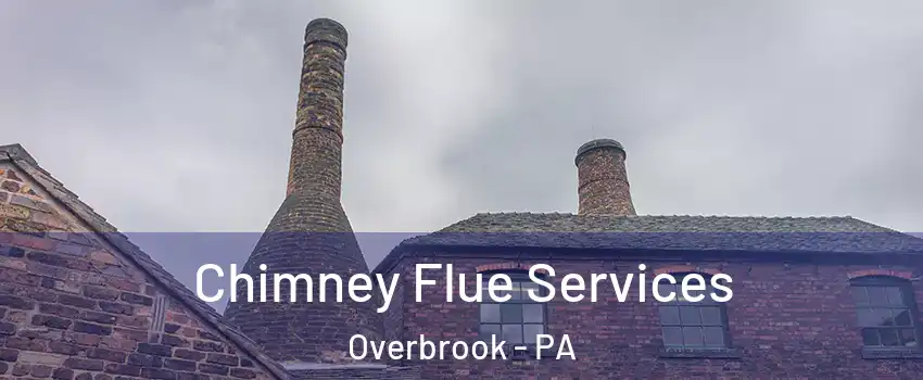 Chimney Flue Services Overbrook - PA