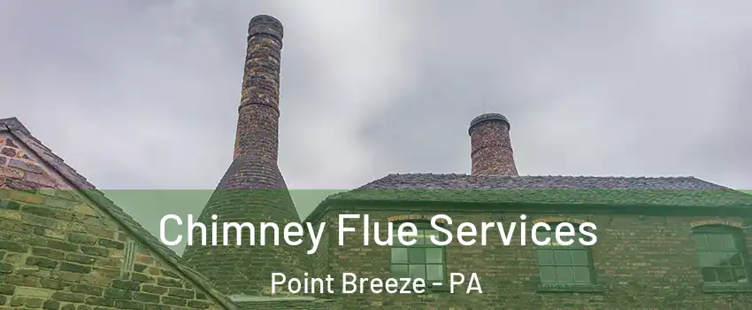 Chimney Flue Services Point Breeze - PA