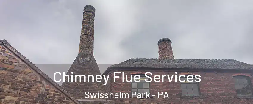 Chimney Flue Services Swisshelm Park - PA