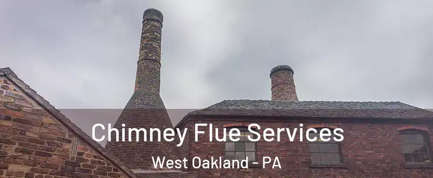 Chimney Flue Services West Oakland - PA