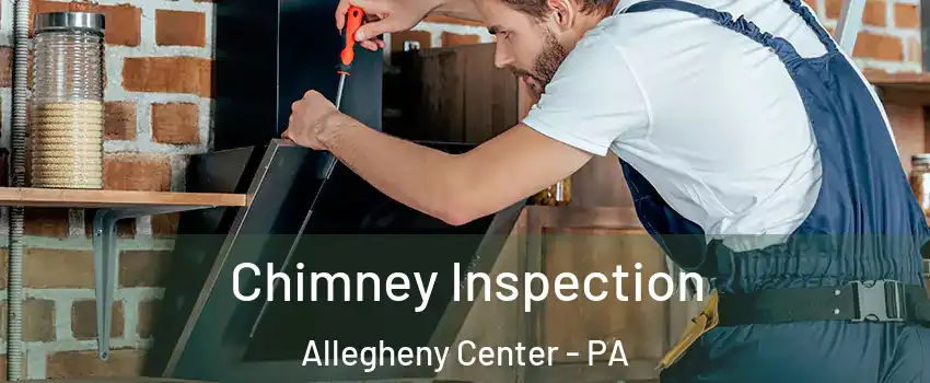 Chimney Inspection Allegheny Center - PA