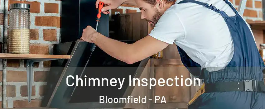 Chimney Inspection Bloomfield - PA
